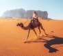 1-day-with-camel-and-overnight-in-wadi-rum.9_m